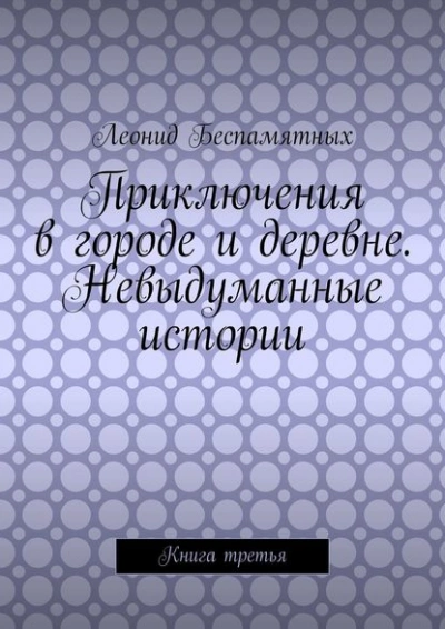 Аудиокнига Приключения в городе и деревне. Невыдуманные истории - Леонид Беспамятных