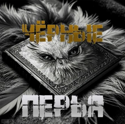 Аудиокнига Чёрные перья - Артём Артёмов