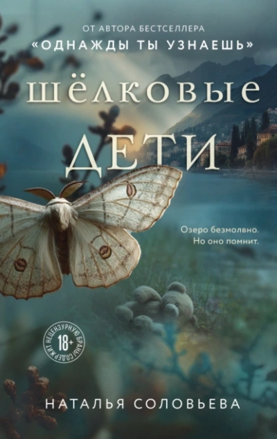 Аудиокнига Шелковые дети - Наталья Соловьева