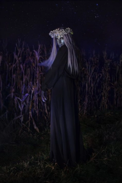 Аудиокнига Когда проснется игоша - Евгения Кретова