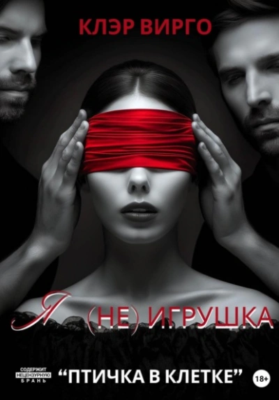 Аудиокнига Я (не) игрушка - Клэр Вирго