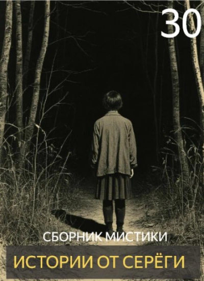 Аудиокнига Истории от Серёги 30