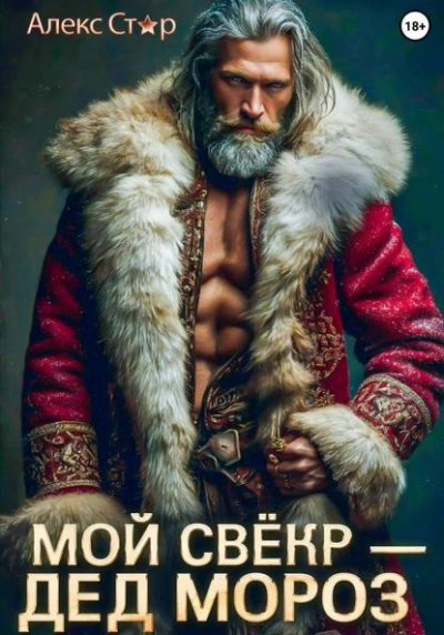 Аудиокнига Мой свёкр – Дед Мороз - Алекс Стар