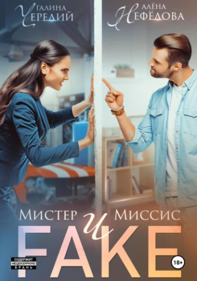 Аудиокнига Мистер и Миссис Фейк - Галина Чередий, Алёна Нефёдова