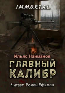 Аудиокнига Главный калибр - Ильяс Найманов