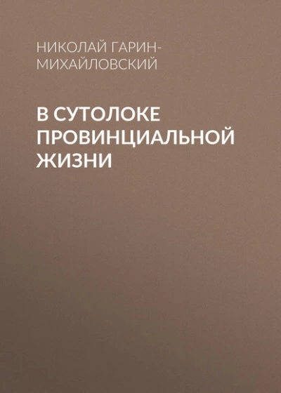Аудиокнига В сутолоке провинциальной жизни - Николай Гарин-Михайловский
