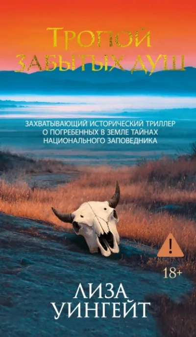 Аудиокнига Тропой забытых душ - Лиза Уингейт