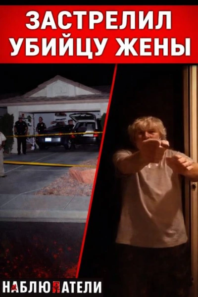 Аудиокнига Выстрелы в тишине пригорода